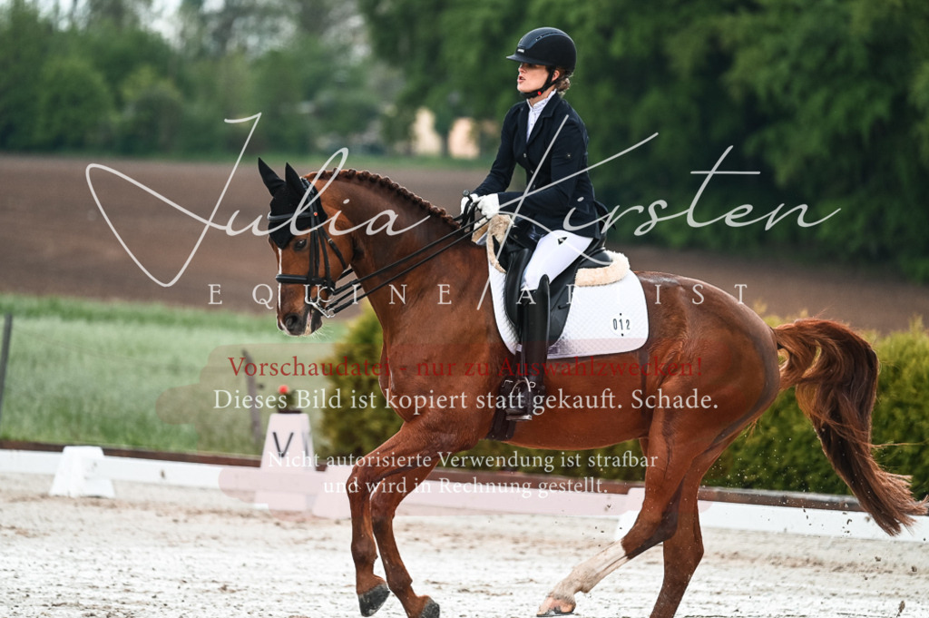 DSC_4248 | Pferde- und Turnierfotografie in Westsachsen. Pferdeportraits, Auftragszeichnungen und intuitive Kunst.