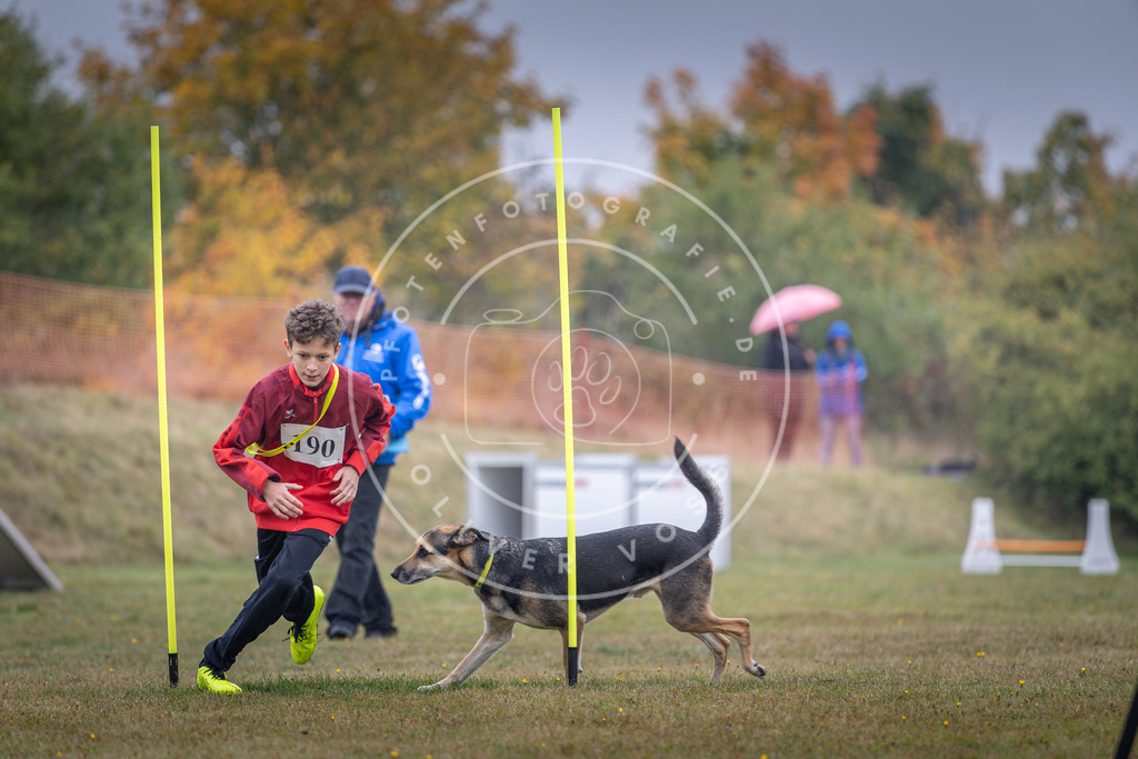Pfotenfotografie_DV3A0258 | Hundefotografie, Tierfotograf, Pfotenfotografie, Fotoshooting Hund, Hunde Portrait, Hundesport, Hundeportraits, Heideshooting, Hunde, Sportfotograf, Hundefotograf, Turnierhundsport, THS,  - Realisiert mit Pictrs.com