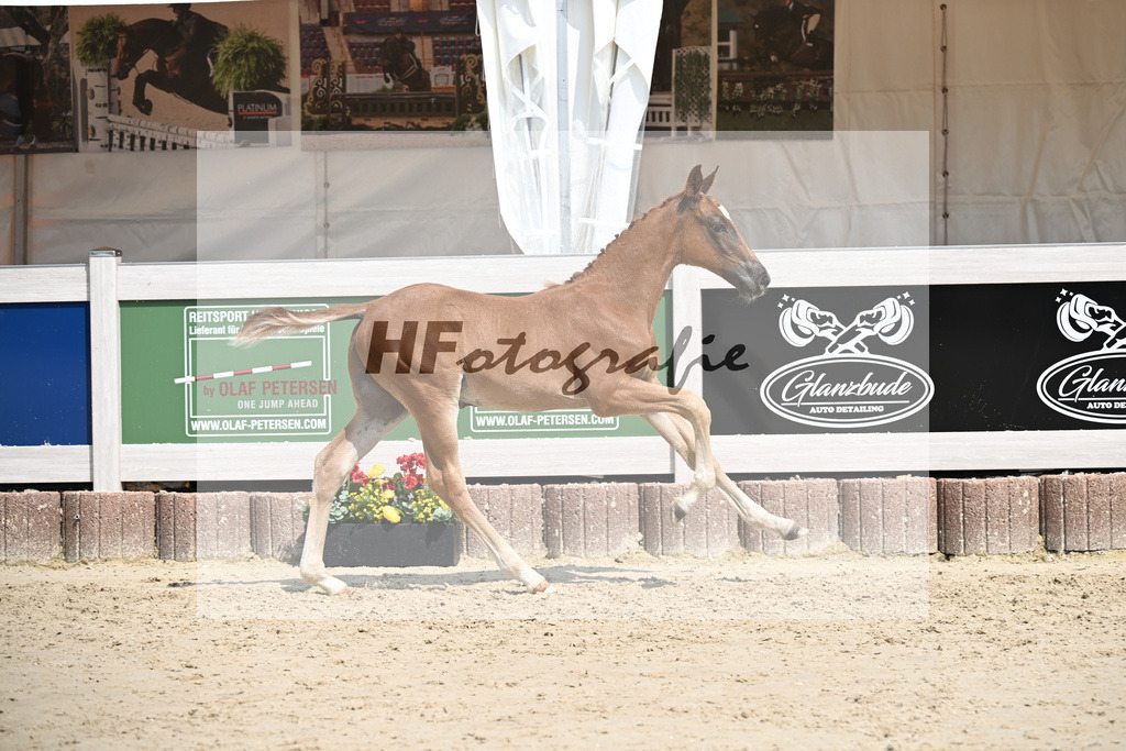Arezzo Man x Celentano_HF_Moldvai_12250449 | hf-fotografie - Realisiert mit Pictrs.com