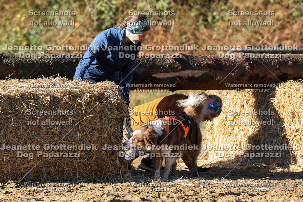 Dog Paparazzi - Strongdog 10-25-1634 | Dog Paparazzi Jeanette Grottendiek Fotografie & Videografie - Realisiert mit Pictrs.com