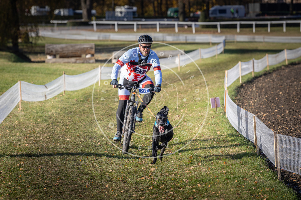 CaniXpix_DV3A3327 | Hundefotografie, Tierfotograf, Pfotenfotografie, Fotoshooting Hund, Hunde Portrait, Hundesport, Hundeportraits, Heideshooting, Hunde, Sportfotograf, Hundefotograf, Turnierhundsport, THS,  - Realisiert mit Pictrs.com