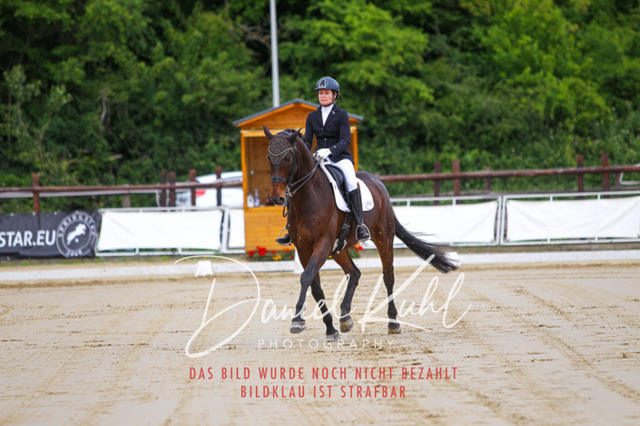 DKP47636 | Turniersportfotografie; Pferdefotografie; Dressurfotografie