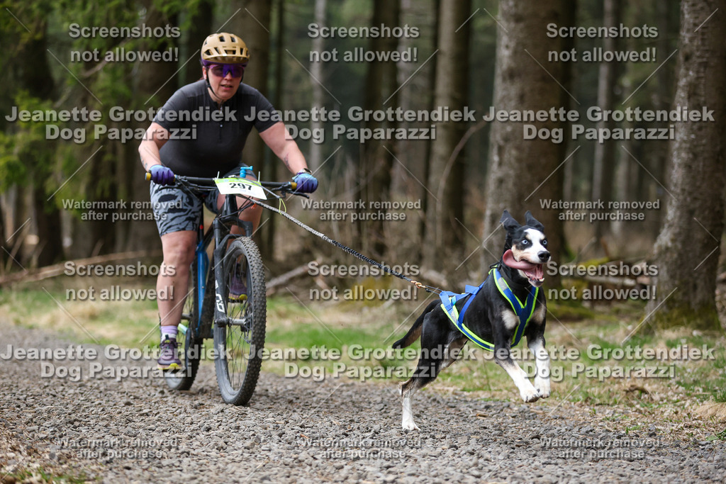 Dog Paparazzi - VCC26-557 | Dog Paparazzi Jeanette Grottendiek Fotografie & Videografie - Realisiert mit Pictrs.com
