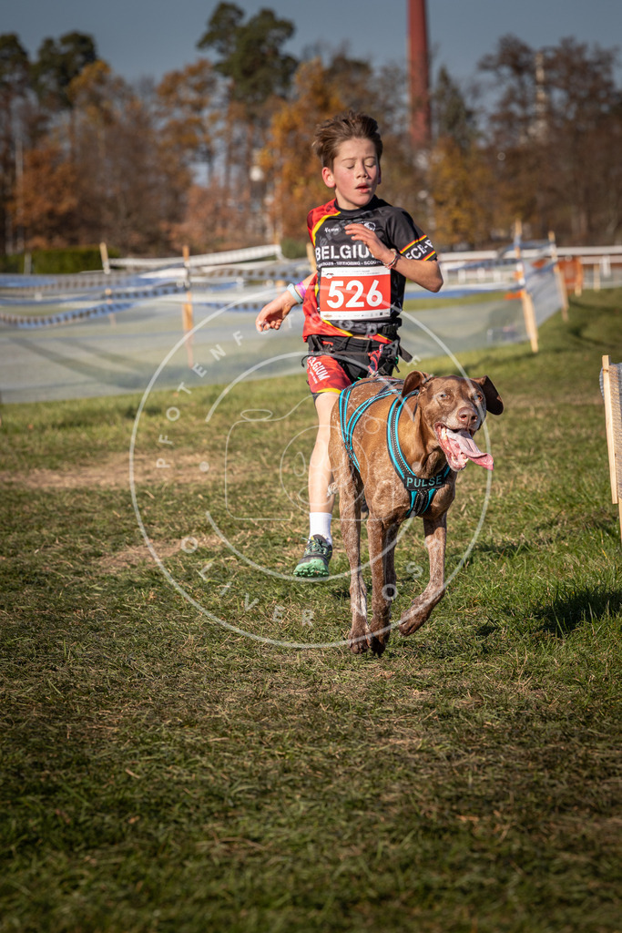 CaniXpix_0L8A7286 | Hundefotografie, Tierfotograf, Pfotenfotografie, Fotoshooting Hund, Hunde Portrait, Hundesport, Hundeportraits, Heideshooting, Hunde, Sportfotograf, Hundefotograf, Turnierhundsport, THS,  - Realisiert mit Pictrs.com