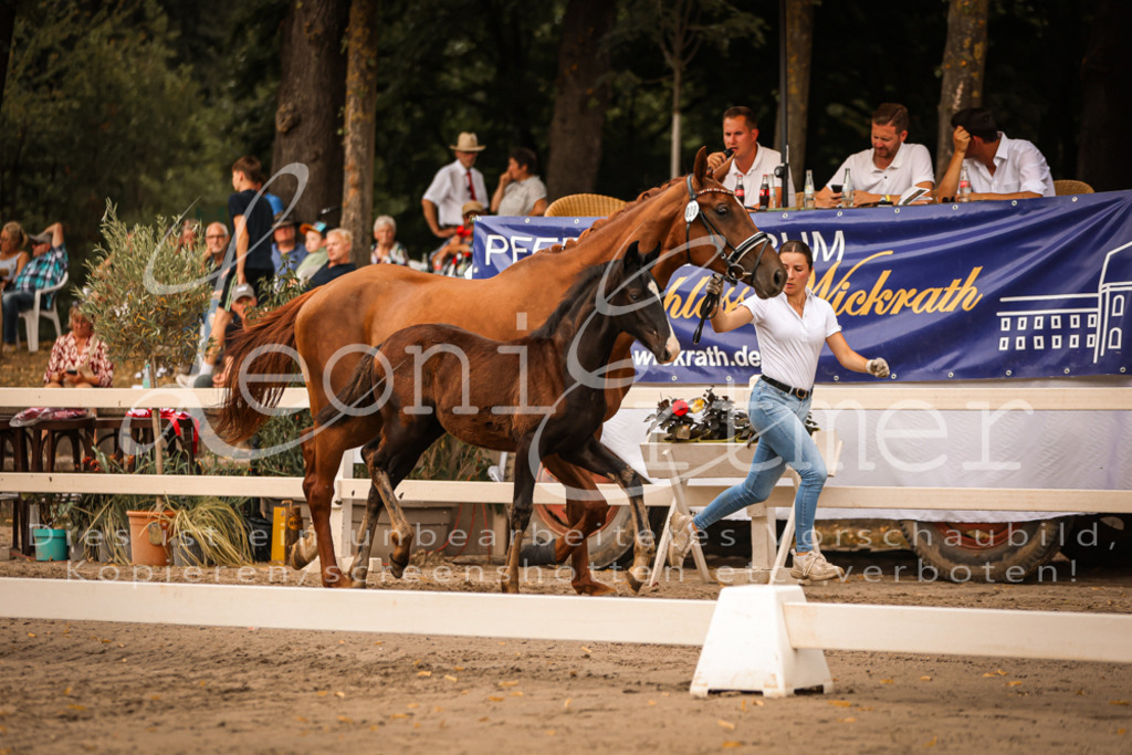 SaPA00275 | Leoni Ertmer Photography - Realisiert mit Pictrs.com