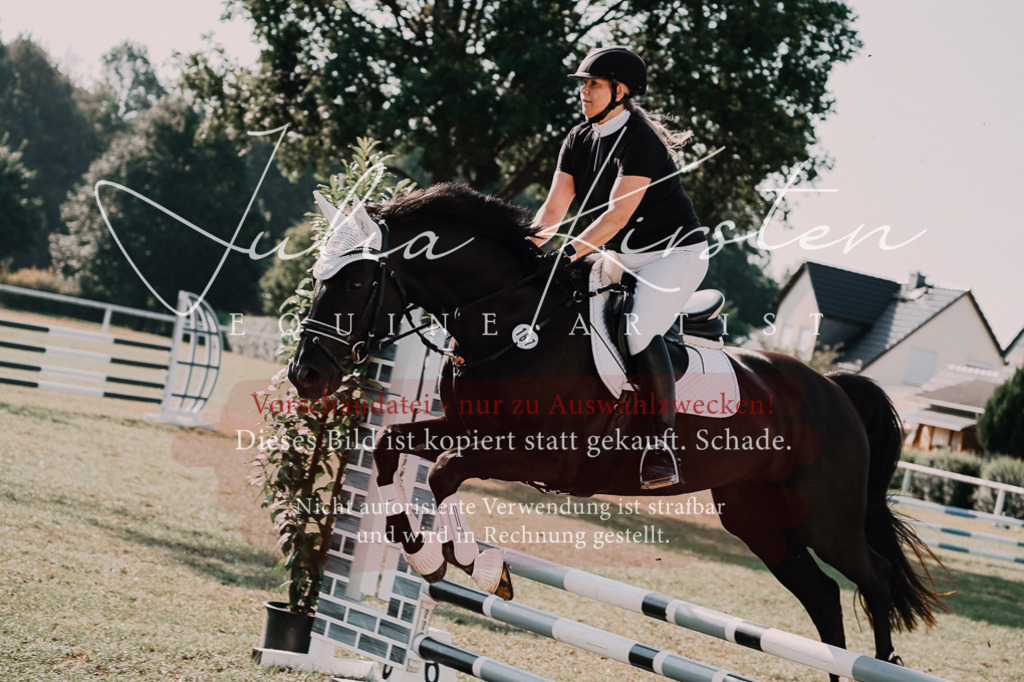 DSC_4764 | Pferde- und Turnierfotografie in Westsachsen. Pferdeportraits, Auftragszeichnungen und intuitive Kunst.