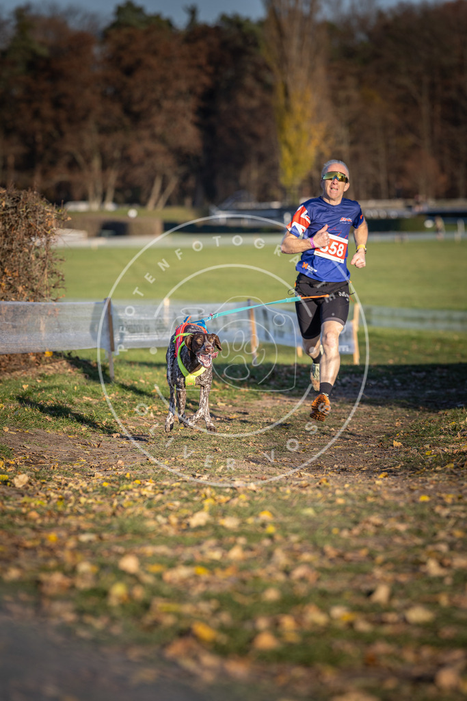 CaniXpix_DV3A3998 | Hundefotografie, Tierfotograf, Pfotenfotografie, Fotoshooting Hund, Hunde Portrait, Hundesport, Hundeportraits, Heideshooting, Hunde, Sportfotograf, Hundefotograf, Turnierhundsport, THS,  - Realisiert mit Pictrs.com