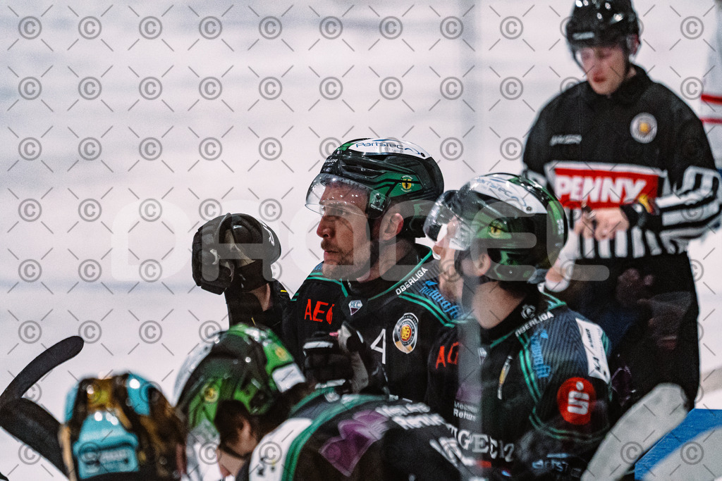 Alligators_vs_Toelz_15_02_2026-28 | Höchstadt Alligators Fotogalerie: Eishockey-Action aus Franken. Professionelle Spielfotos, Portraits & Stadionbilder zum Download. Jetzt entdecken! - Realisiert mit Pictrs.com