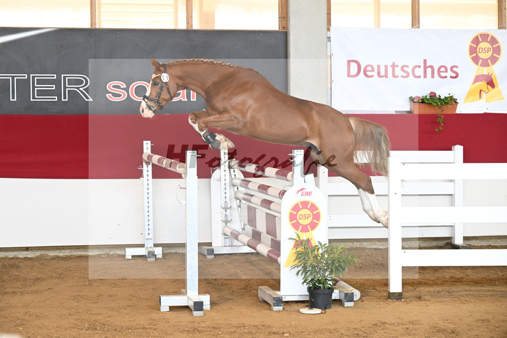 Kat-Nr. 46 TP Fabelhafter Floris v. Fabelhafter Frechdachs_Schmid_7251166 | hf-fotografie - Realizzato con Pictrs.com