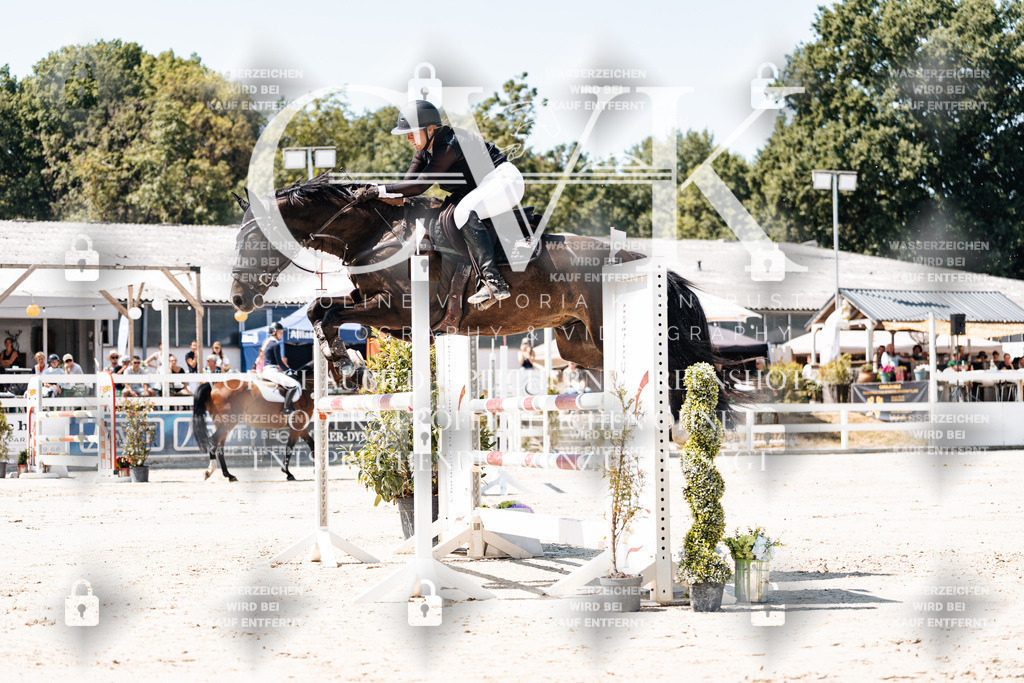 CK909555 | Turnierfotografie Pferdefotografie Trier Rheinland-Pfalz Pferdesport Reitsport Tierfotografie Sportfotografie Pferdevideo Pferdevideografie Equestrianvideography equestrianphotography  - Realisiert mit Pictrs.com