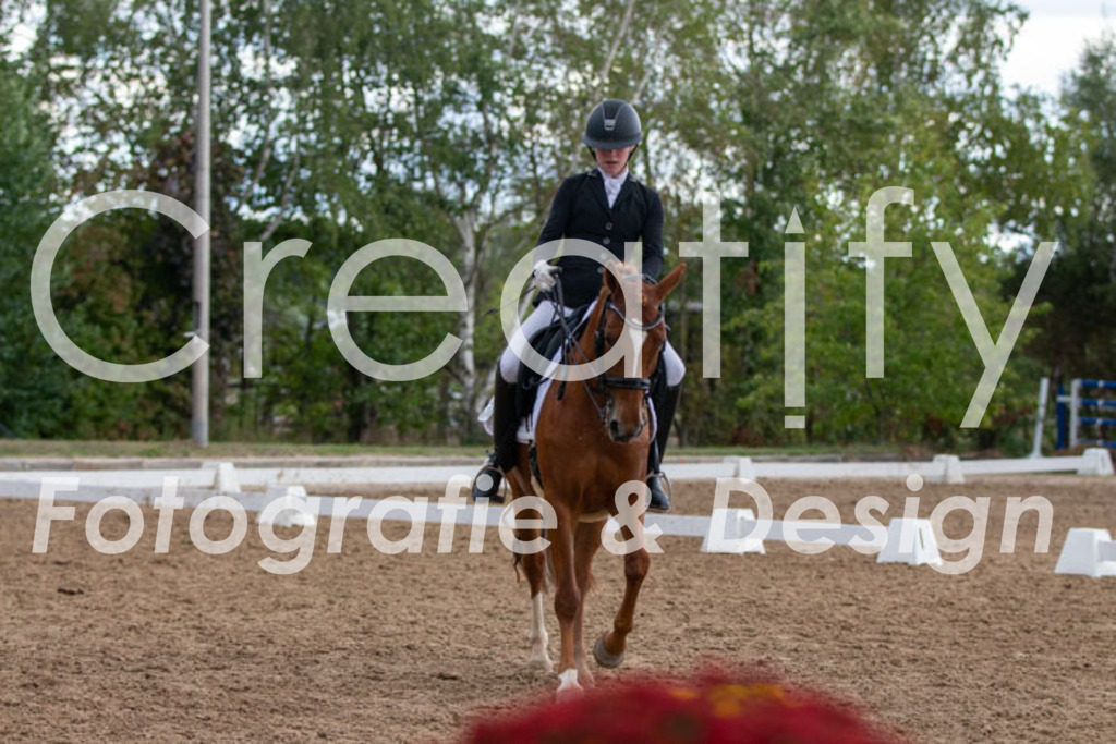 IMG_5570 | Creatify Fotografie