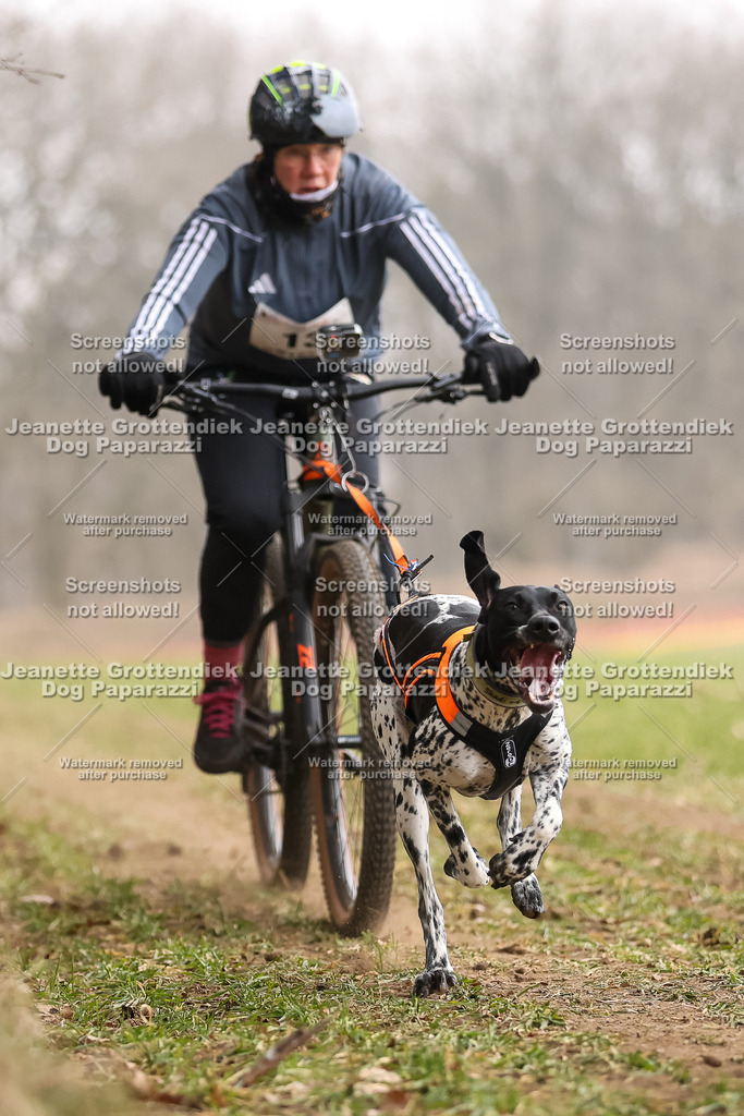 Dog Paparazzi - Plate 2026-48 | Dog Paparazzi Jeanette Grottendiek Fotografie & Videografie - Realisiert mit Pictrs.com