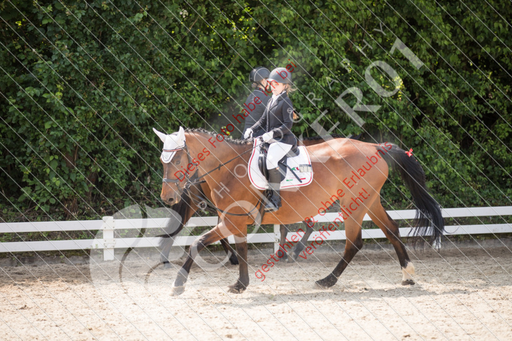 IMG_3501 | Sport-, Event- und Tierfotos in Profiqualität. Einfach auswählen, bestellen und herunterladen. Dein Moment – perfekt festgehalten.