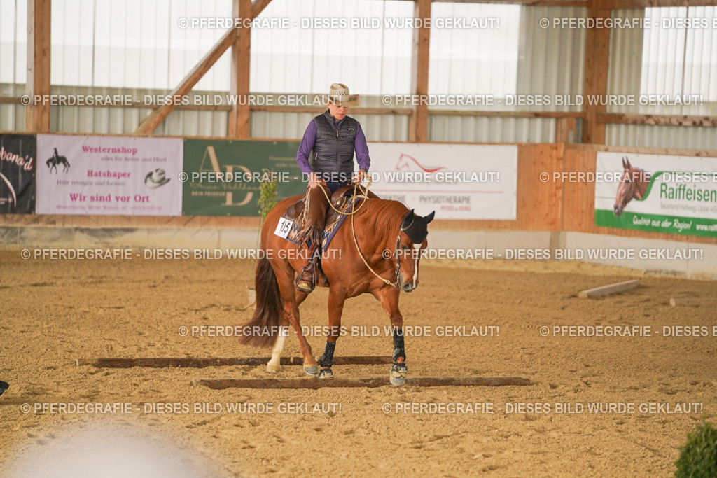 DSC01225 | Pferdegrafie