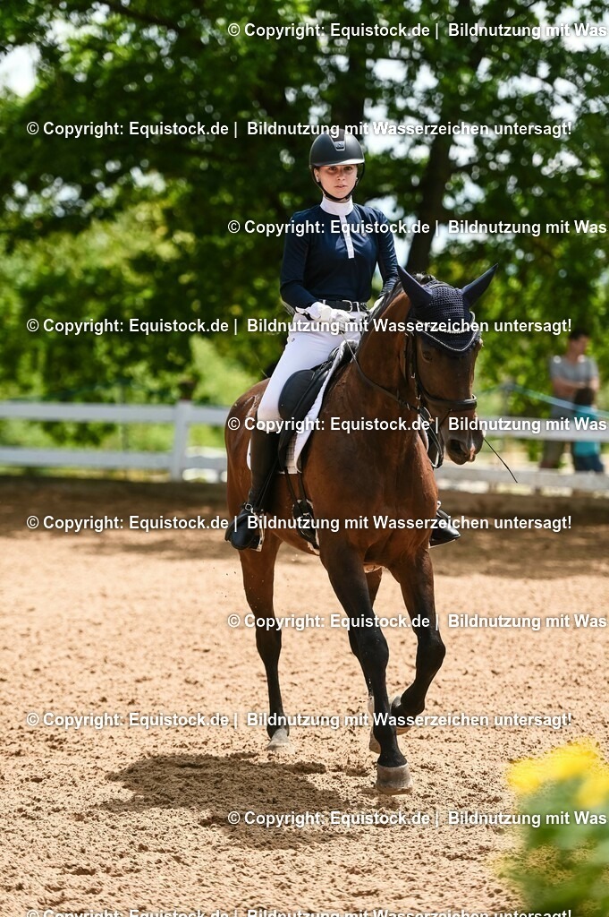 20230716_03_Dressurprfg. Kl.L - Tr._0277 | equistock