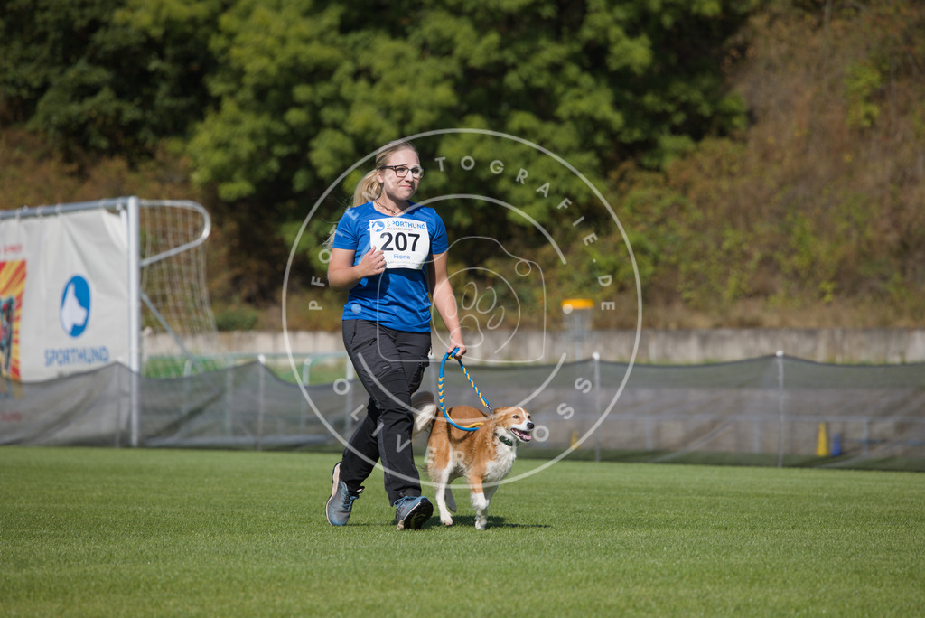 0L8A2386 | Hundefotografie, Tierfotograf, Pfotenfotografie, Fotoshooting Hund, Hunde Portrait, Hundesport, Hundeportraits, Heideshooting, Hunde, Sportfotograf, Hundefotograf, Turnierhundsport, THS,  - Realisiert mit Pictrs.com