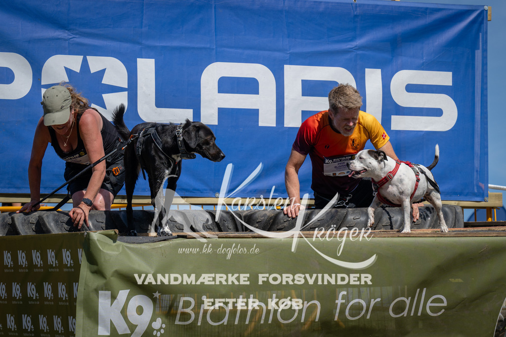 1316_ZZ98454 | kk-dogfotos