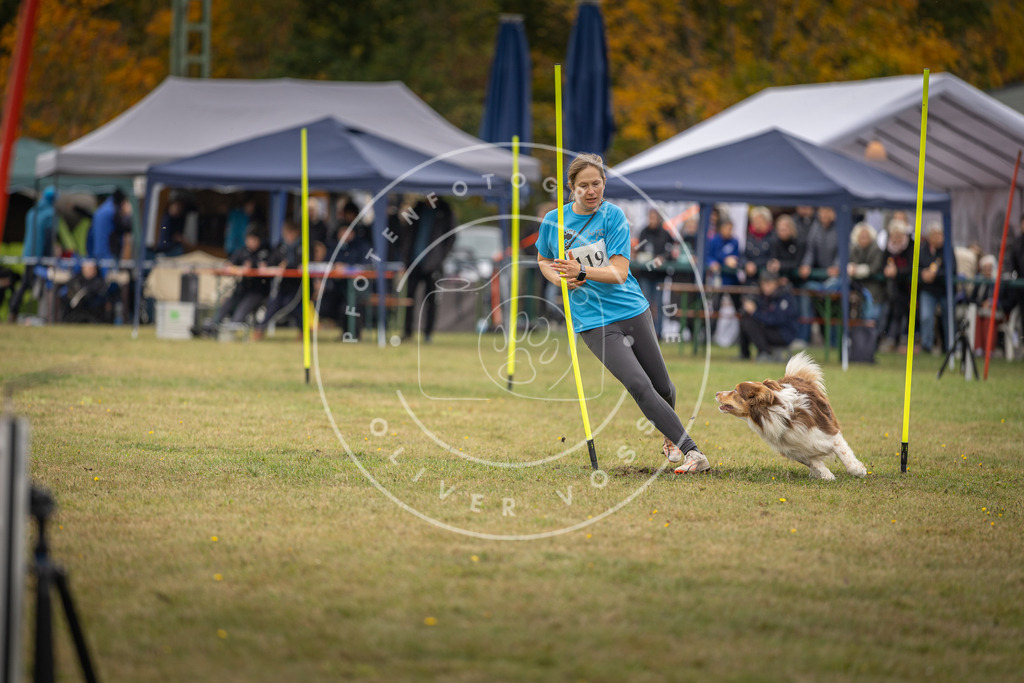Pfotenfotografie_DV3A7591 | Hundefotografie, Tierfotograf, Pfotenfotografie, Fotoshooting Hund, Hunde Portrait, Hundesport, Hundeportraits, Heideshooting, Hunde, Sportfotograf, Hundefotograf, Turnierhundsport, THS,  - Realisiert mit Pictrs.com