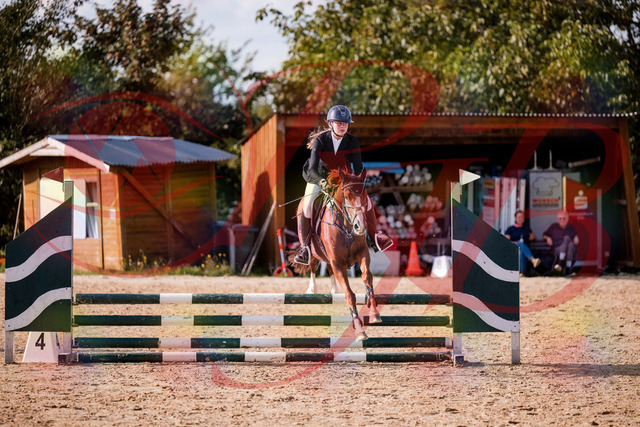 2026_10_03_Siefer-Hof_155806_Z81_77881854 | Professionelle Reitsport-, Turnier- und Eventfotografie von Robert Broda. Galerien mit ausgewählten und bearbeiteten Bildern direkt online ansehen und bestellen.