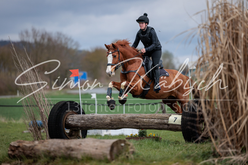 20260329-_3LI5217 | Tierfotografie Pferde, Hunde, Katzen, Haustiere.
Turnierfotografie Reitturniere, Reiten, Springreiten, Dressur in Hanau, dem Main-Kinzig-Kreis und dem Rhein-Main- Gebiet um Frankfurt