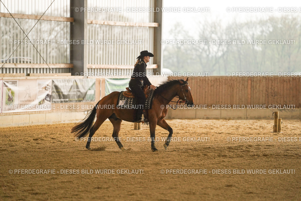 DSC09487 | Pferdegrafie