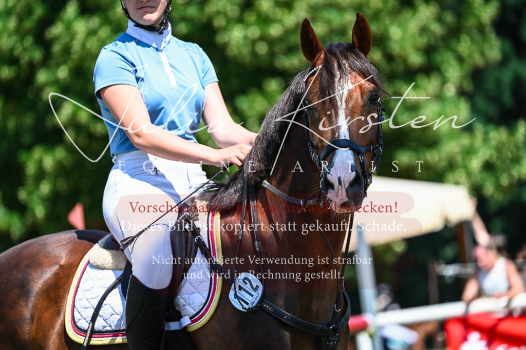 DSC_0931 | Pferde- und Turnierfotografie in Westsachsen. Pferdeportraits, Auftragszeichnungen und intuitive Kunst.
