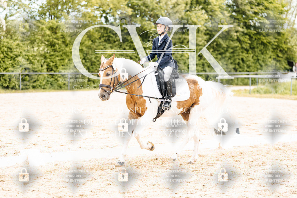 CK904620 | Turnierfotografie Pferdefotografie Trier Rheinland-Pfalz Pferdesport Reitsport Tierfotografie Sportfotografie Pferdevideo Pferdevideografie Equestrianvideography equestrianphotography  - Realisiert mit Pictrs.com