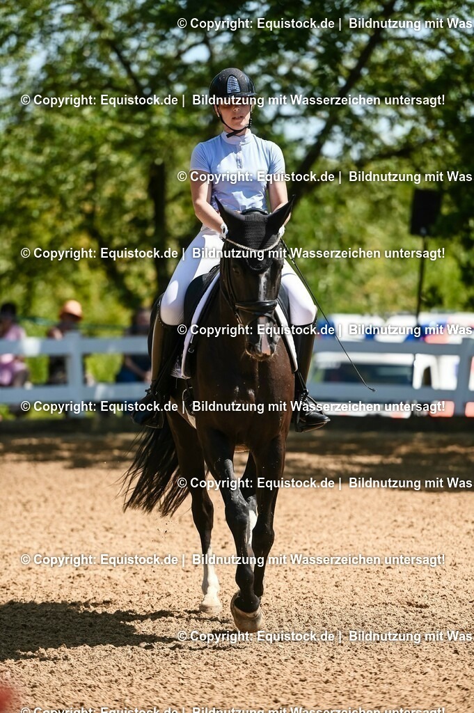 20230715_02_Dressurreiterprüfung Kl.L_0037 | equistock