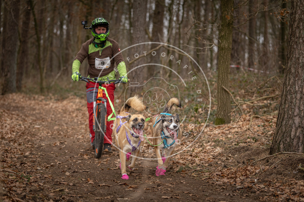 Pfotenfotografie_DV3A6713 | Hundefotografie, Tierfotograf, Pfotenfotografie, Fotoshooting Hund, Hunde Portrait, Hundesport, Hundeportraits, Heideshooting, Hunde, Sportfotograf, Hundefotograf, Turnierhundsport, THS,  - Realisiert mit Pictrs.com