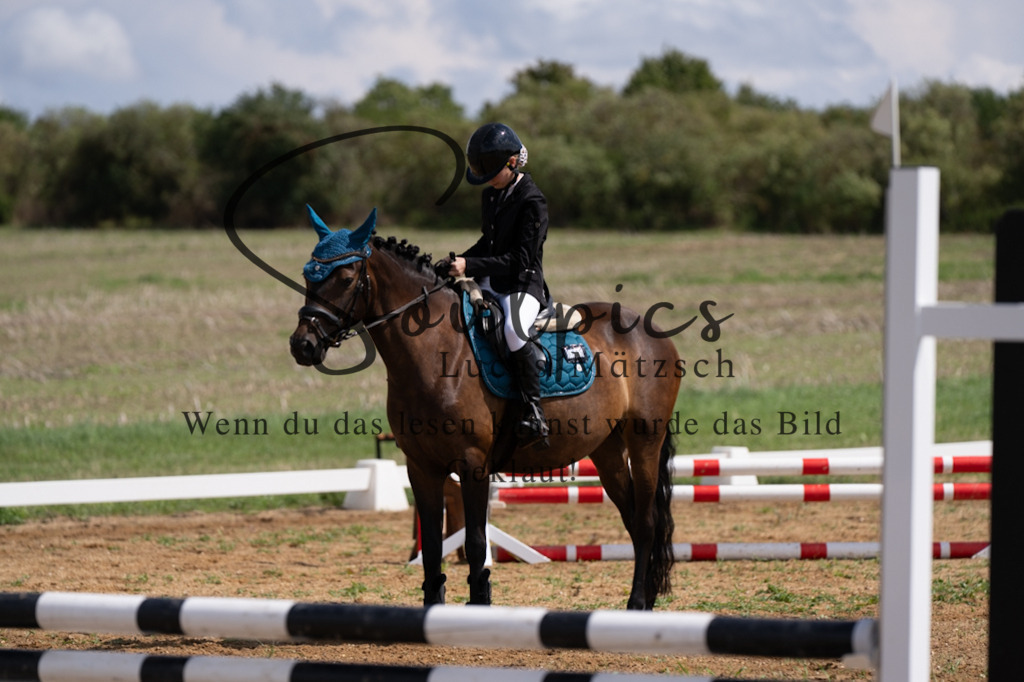 A7V03089 | Pferdefotograf