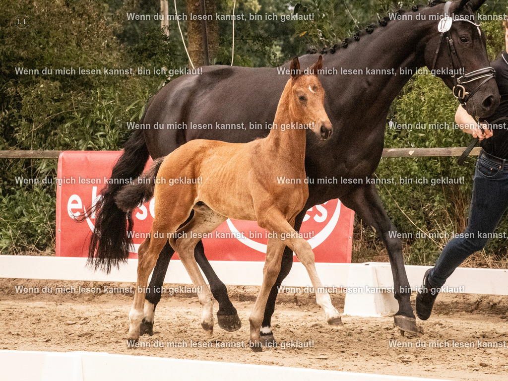 A10I0946 | photographylinaismer - Realisiert mit Pictrs.com