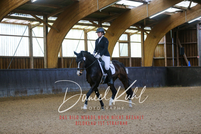 IMG_0073 | Turniersportfotografie; Pferdefotografie; Dressurfotografie