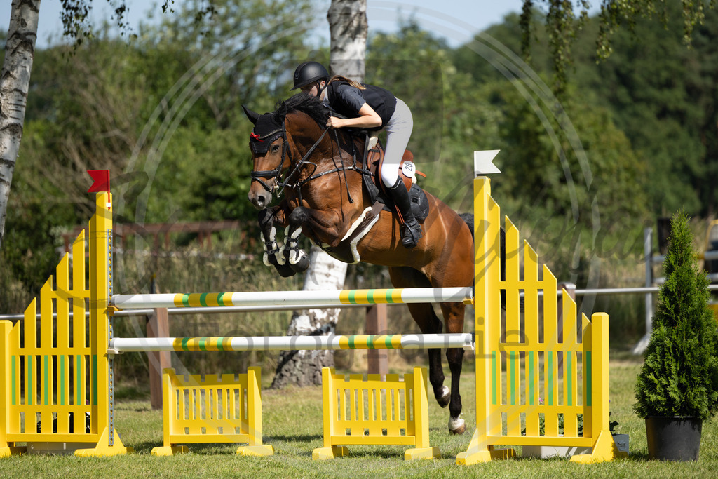 994A3885 | sabrinanicolaifotografie - Realisiert mit Pictrs.com