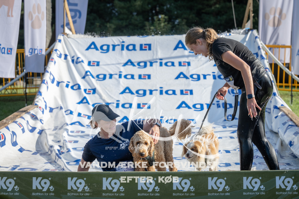 0934_ZZ96367 | kk-dogfotos