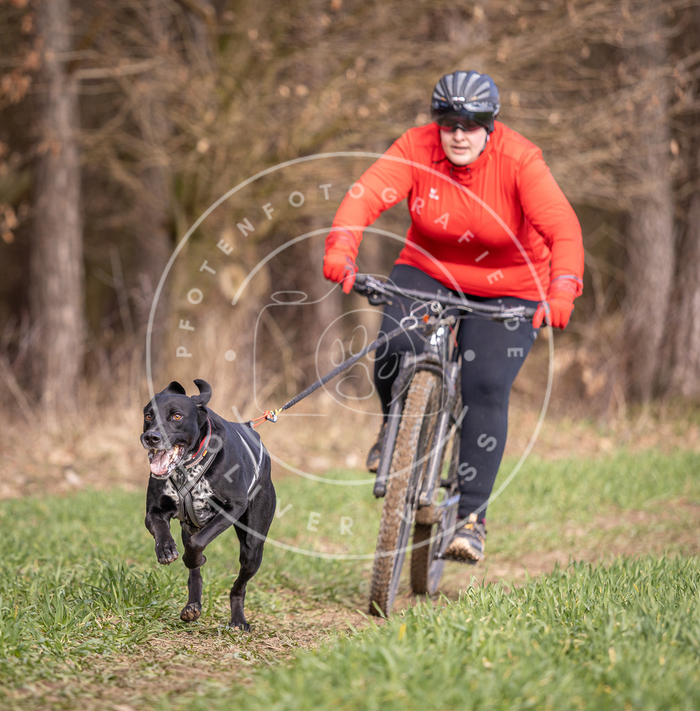 DV3A6156 | Hundefotografie, Tierfotograf, Pfotenfotografie, Fotoshooting Hund, Hunde Portrait, Hundesport, Hundeportraits, Heideshooting, Hunde, Sportfotograf, Hundefotograf, Turnierhundsport, THS,  - Realisiert mit Pictrs.com