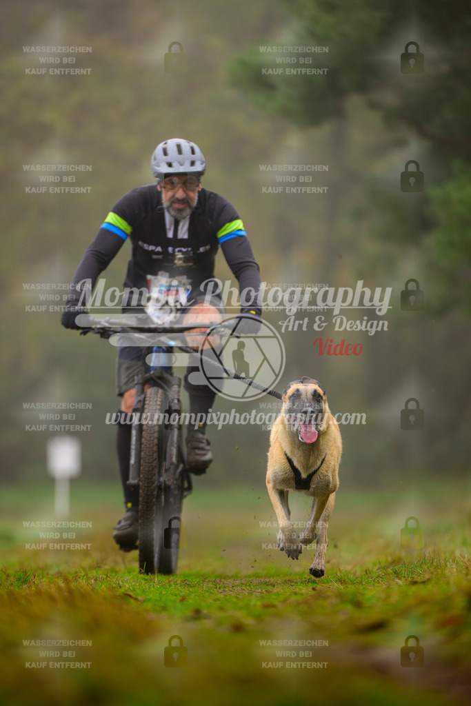MompixPhotography_Bischwiller2025_Bike-34 | mompixphotography