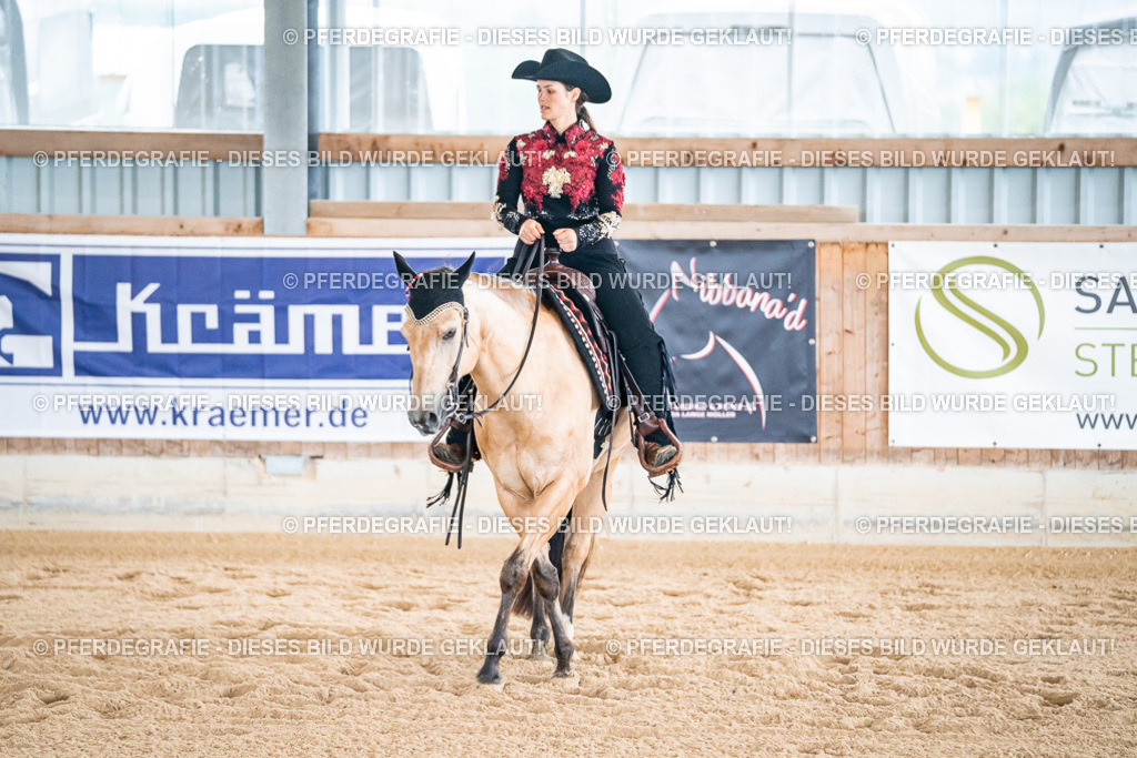 DSC01755 | Pferdegrafie