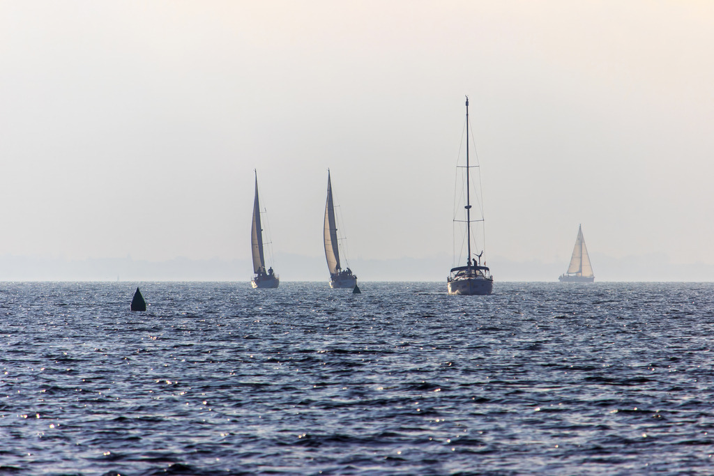 Wandbild: Im Gleichklang mit dem Meer | Bringen Sie die exklusive Ruhe eines Segelmorgens an der Ostsee in Ihr Wohnzimmer. Dieses maritime Wandbild fängt den Moment ein, in dem eine Gruppe von Segelbooten lautlos durch den zarten Morgendunst gleitet. Das sanfte Licht und die feine Struktur der Wellen erzeugen eine Atmosphäre von zeitloser Eleganz und tiefer Entspannung. Ein stilvolles Kunstwerk, das durch seine klare Komposition überzeugt und Ihrem Zuhause eine weite, luftige Note verleiht – perfekt für Liebhaber der maritimen Ästhetik. - Realized with Pictrs.com