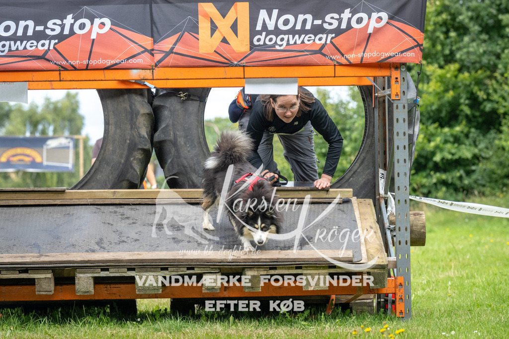 1234_ZZ94043 | kk-dogfotos