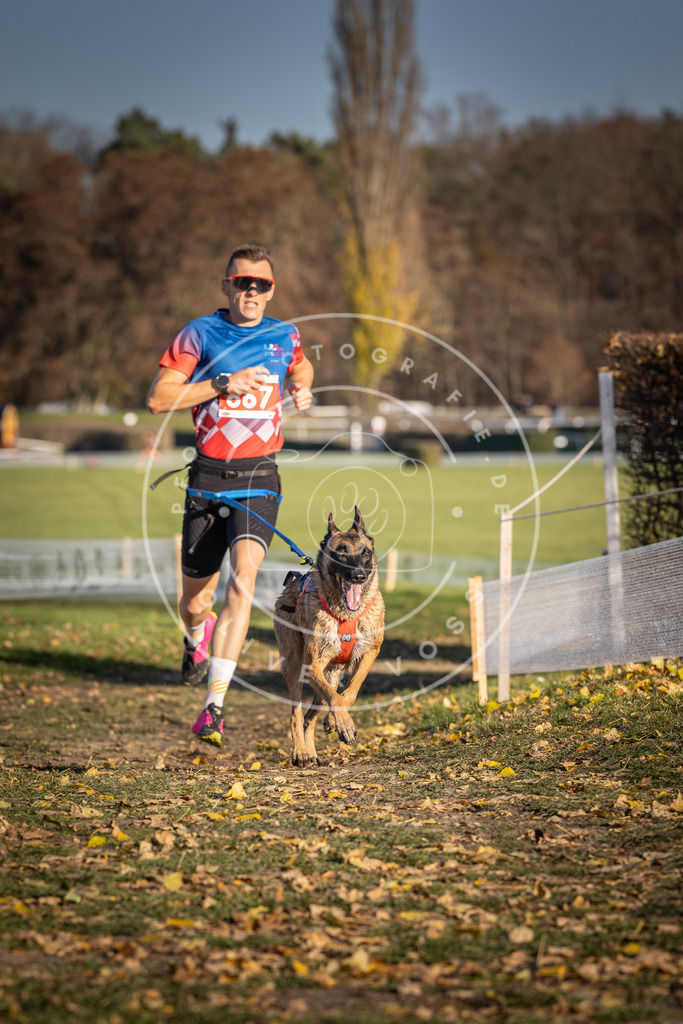 CaniXpix_DV3A0805 | Hundefotografie, Tierfotograf, Pfotenfotografie, Fotoshooting Hund, Hunde Portrait, Hundesport, Hundeportraits, Heideshooting, Hunde, Sportfotograf, Hundefotograf, Turnierhundsport, THS,  - Realisiert mit Pictrs.com