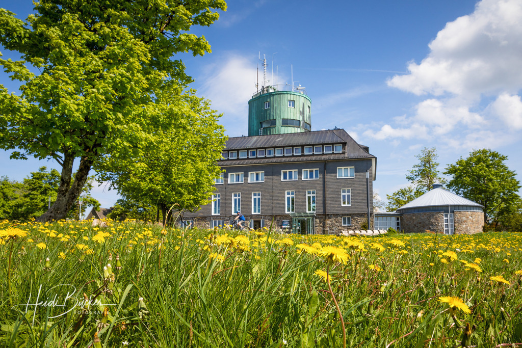 Kahler Asten im Frühling | Der Astenturm auf dem Kahlen Asten im Frühling - Realisiert mit Pictrs.com