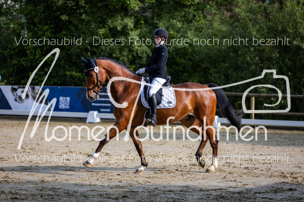 Donop24-A-Dre-040 | MomenTaufnahmen Pferdesportfotos