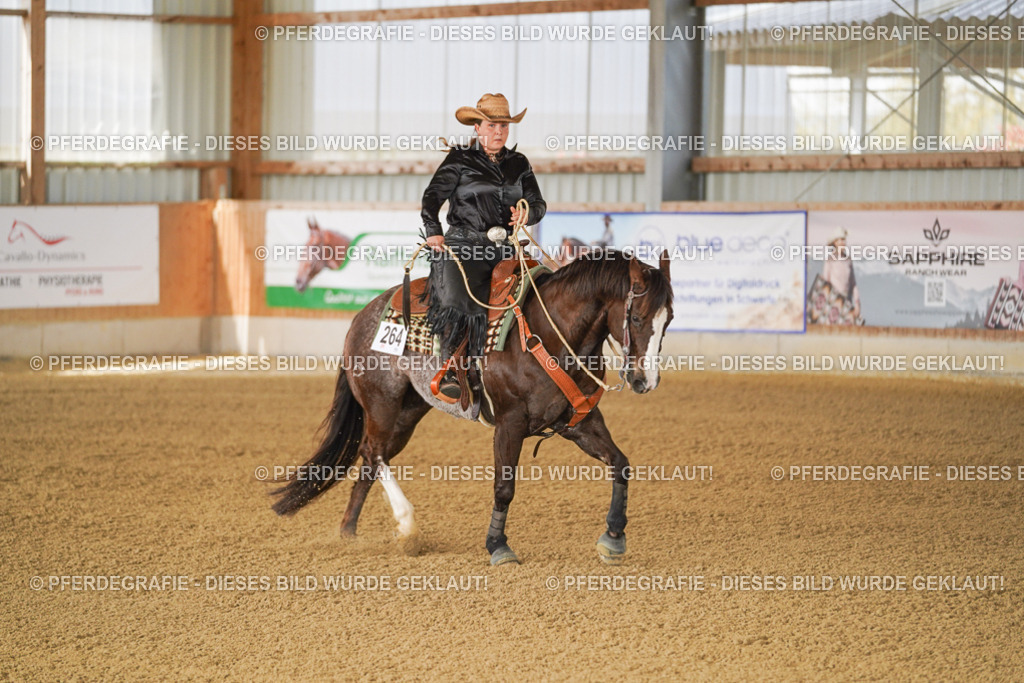 DSC02382 | Pferdegrafie