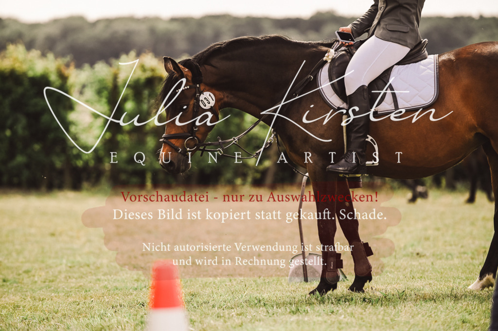 DSC_7035 | Pferde- und Turnierfotografie in Westsachsen. Pferdeportraits, Auftragszeichnungen und intuitive Kunst.