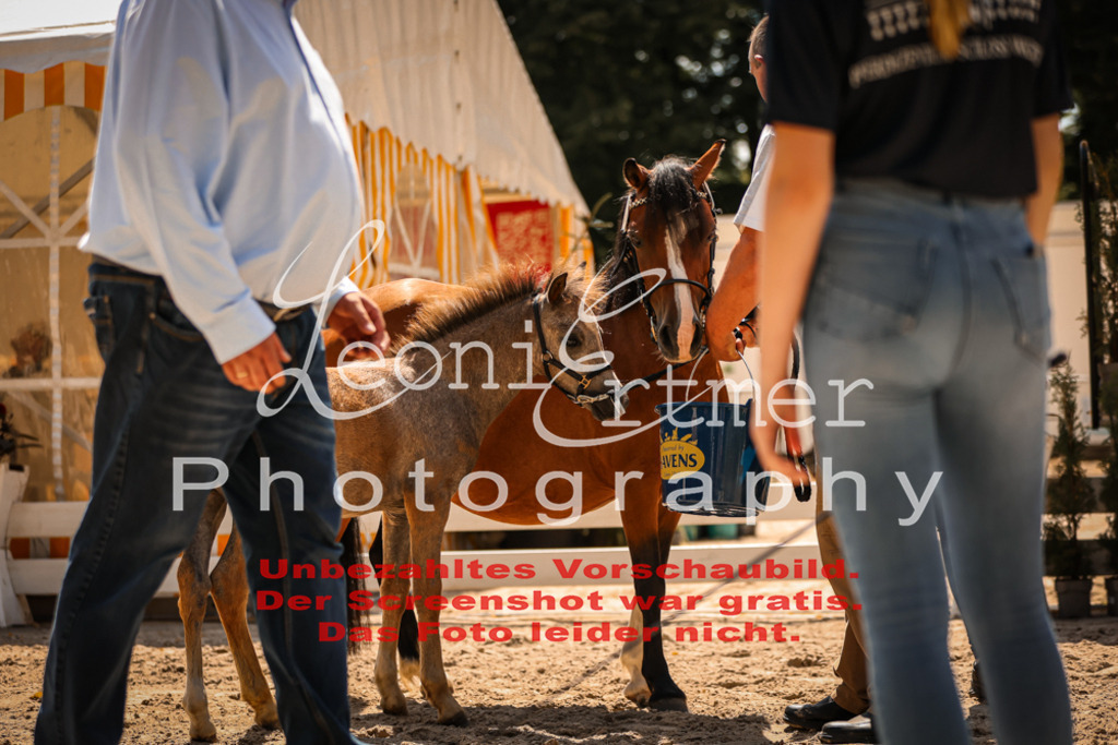 04.DoWP00103 | Leoni Ertmer Photography - Realisiert mit Pictrs.com