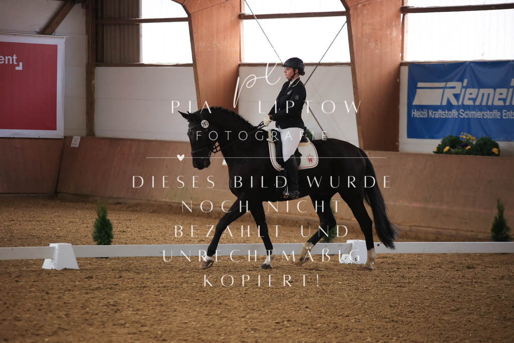 IMGT8645 | pl-fotografie