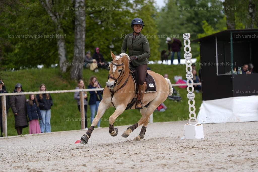 PI26_SP_Stoibphotography_DSC1929.JPG | working equitationturnier fotograf videograf stoibphotography marixx film working equitation deutschland reitsport turnierfotografie eventfotografie equestrian events