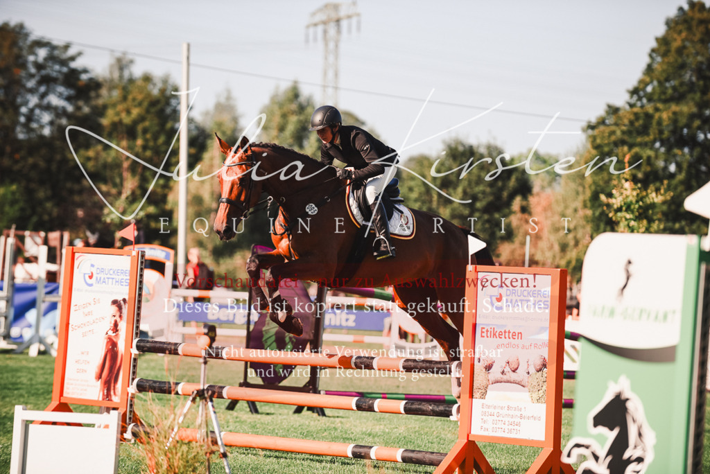 DSC_2249 | Pferde- und Turnierfotografie in Westsachsen. Pferdeportraits, Auftragszeichnungen und intuitive Kunst.
