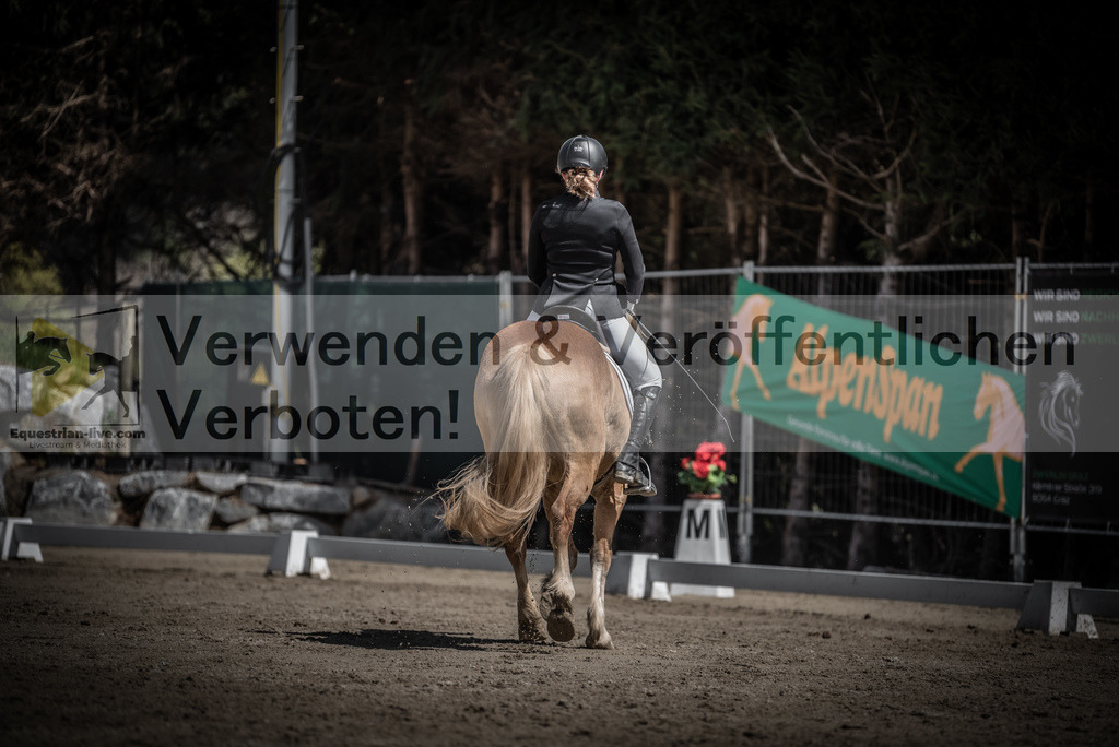 DSC_0687 | equestrian-live-com