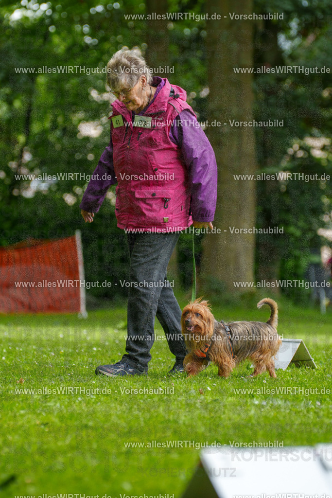 @allesWIRTHgut_Tierfotografie - www.allesWIRTHgut.de - 122148-7R508896 | Professionelle Tierfotografie in Mönchengladbach von Daniel Wirth (allesWIRTHgut). Liebevolle & natürliche Bilder von Hunden & Katzen für unvergessliche Erinnerungen.